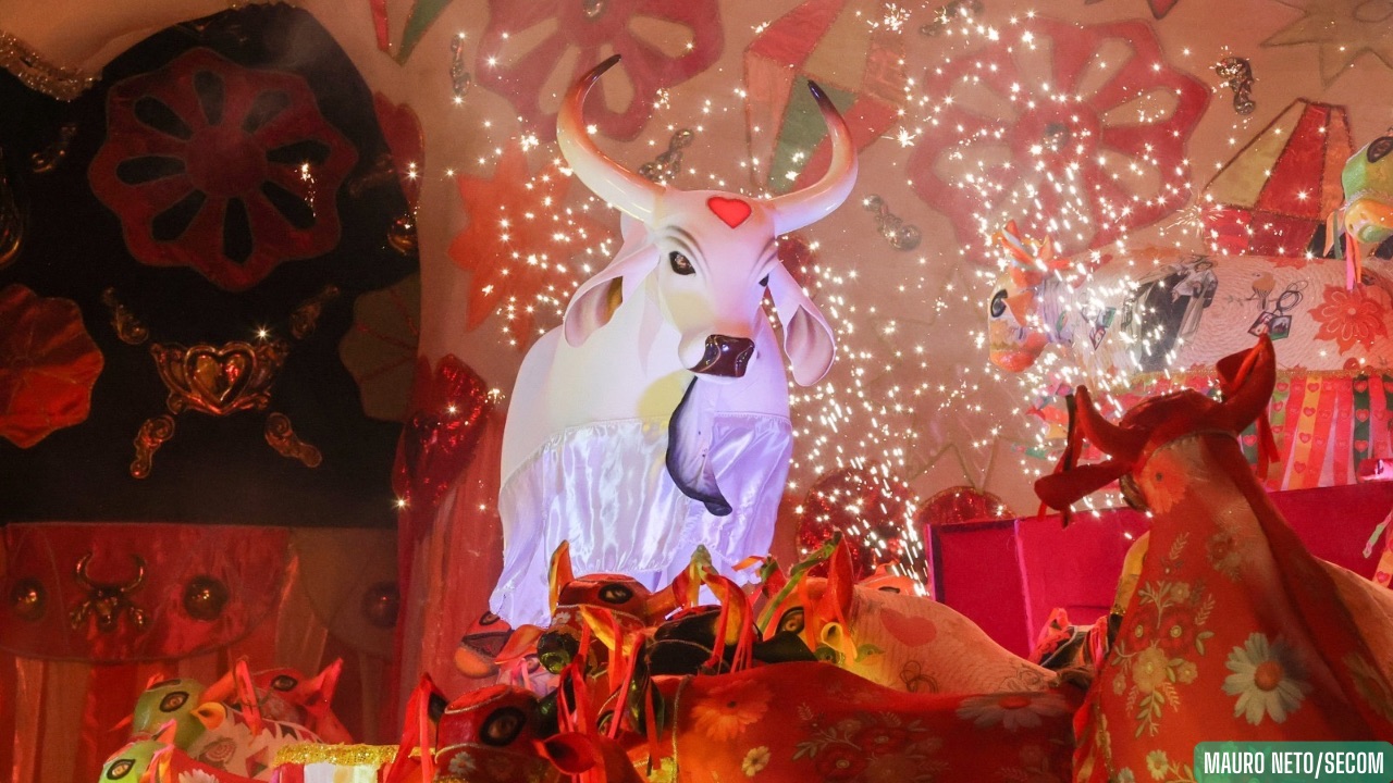 “Boi do Povo, Boi do Povão”: Boi Garantido se consagra o campeão do Festival de Parintins 2025