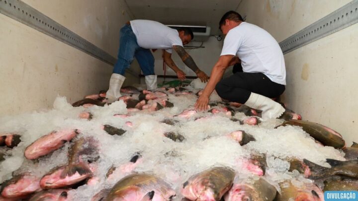 Prefeitura de Manaus inicia entrega de 100 toneladas de pescado e beneficia 40 mil famílias na Semana Santa