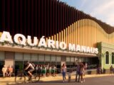 Projeto do aquário da Prefeitura de Manaus aposta na riqueza da vida aquática amazônica