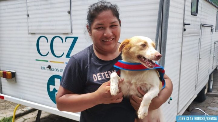 Prefeitura abre vagas para castração de cães e gatos no CCZ Manaus nesta quarta-feira